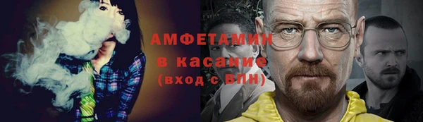 мет Алексин