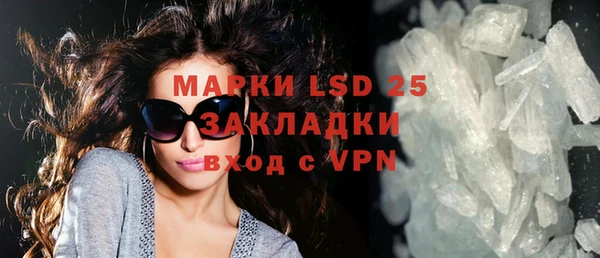 ECSTASY Алзамай