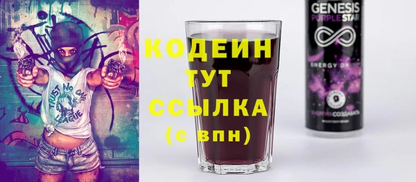 ECSTASY Алзамай