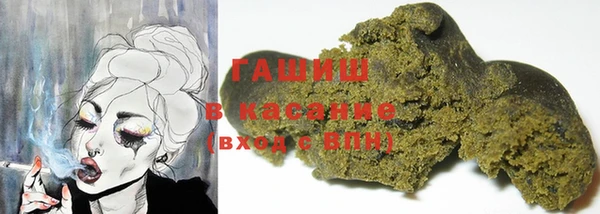 мет Алексин