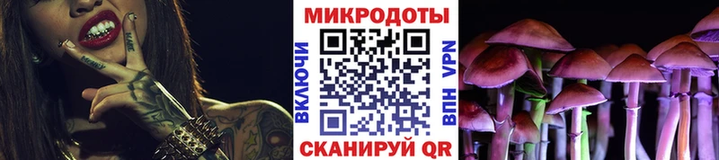 Галлюциногенные грибы мицелий  blacksprut как зайти  Новодвинск 