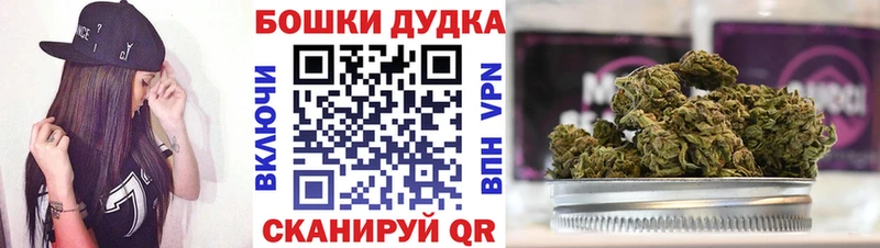 Шишки марихуана Amnesia  Новодвинск 